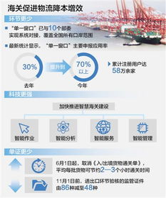 聚焦高质量发展 简化流程、提升速度与降低成本——现代物流与贸易代理的协同变革