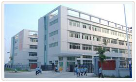 强强联手，共拓国际市场——东莞亿网与东莞市宝顺国际贸易有限公司签约成功