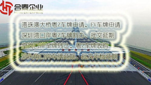 肇庆进出口公司做账报税全指南 贸易代理操作要点解析